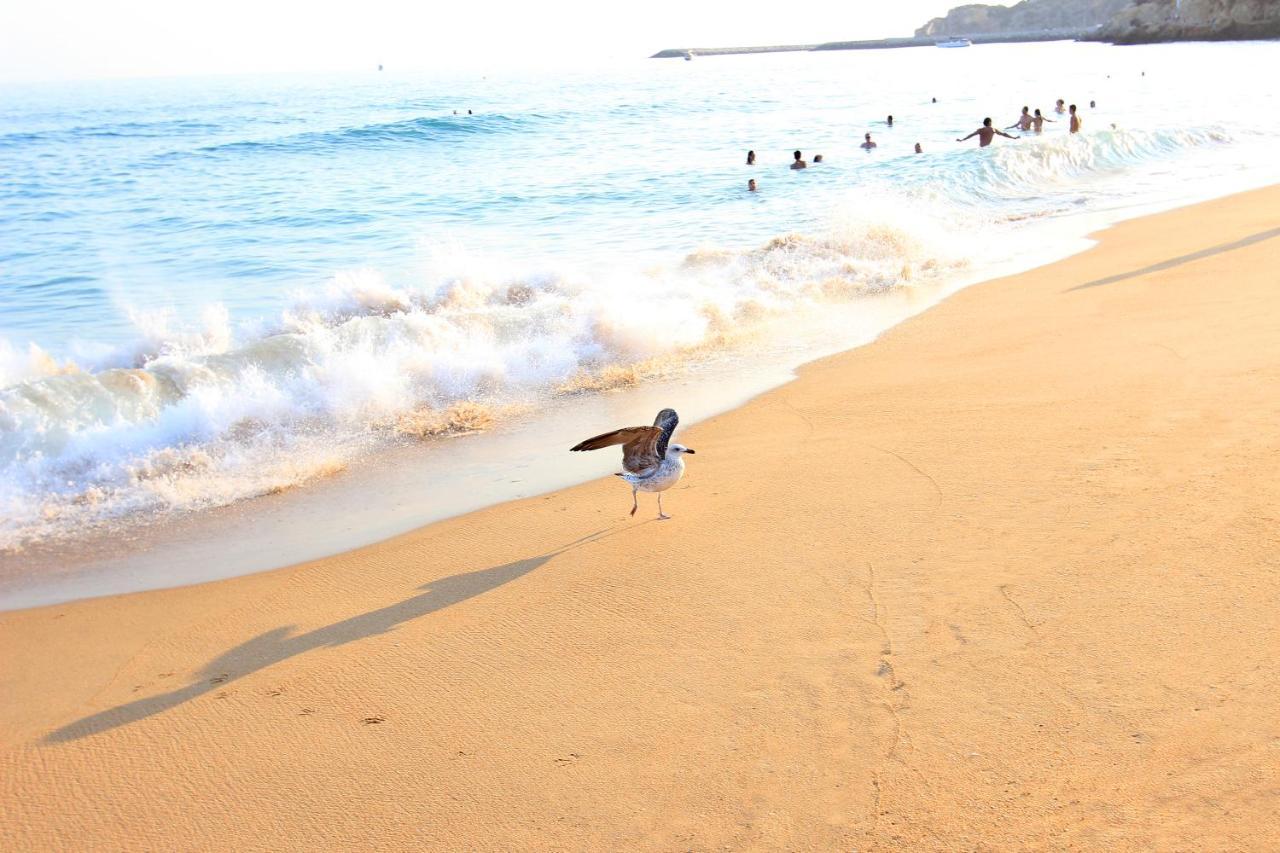 Natural Grey Albufeira Ngoại thất bức ảnh
